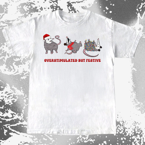 Overstimulated But Festive Opossum Christmas