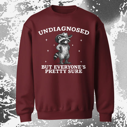 Raccoon Undiagnosed But Everyone’s Pretty Sure