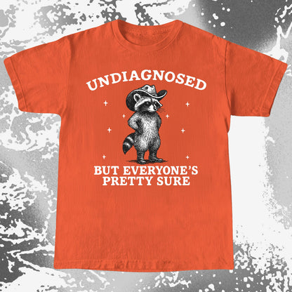 Raccoon Undiagnosed But Everyone’s Pretty Sure