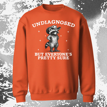 Raccoon Undiagnosed But Everyone’s Pretty Sure