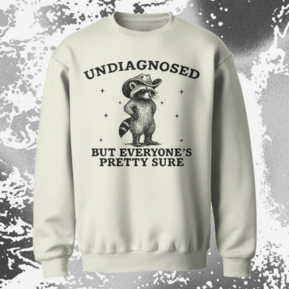 Raccoon Undiagnosed But Everyone’s Pretty Sure