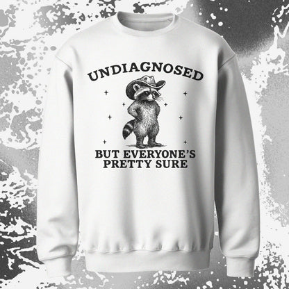 Raccoon Undiagnosed But Everyone’s Pretty Sure