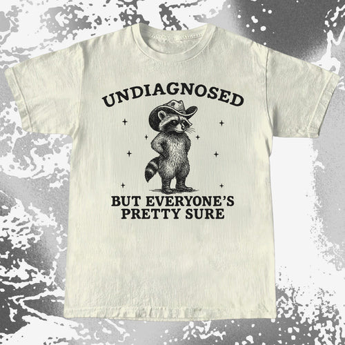 Raccoon Undiagnosed But Everyone’s Pretty Sure