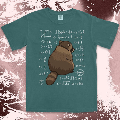 math raccoon surrounded by equations comfort colors t-shirt