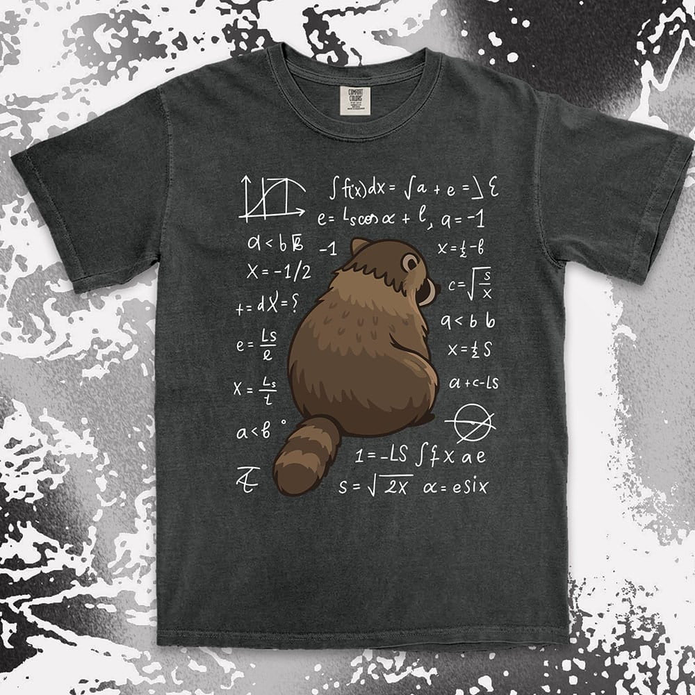 math raccoon surrounded by equations comfort colors t-shirt