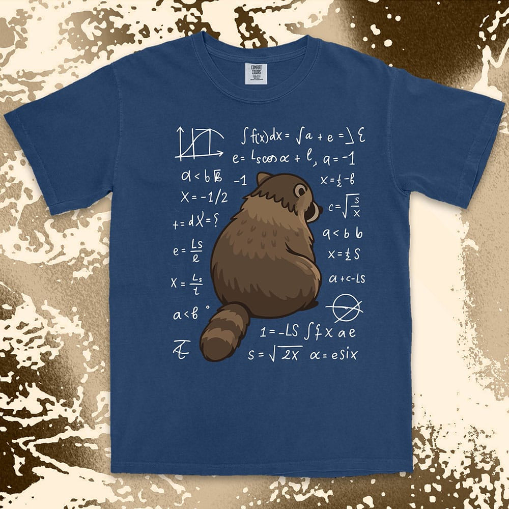 math raccoon surrounded by equations comfort colors t-shirt
