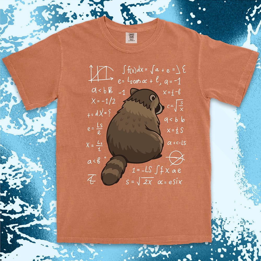 math raccoon surrounded by equations comfort colors t-shirt