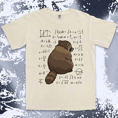 math raccoon surrounded by equations comfort colors t-shirt