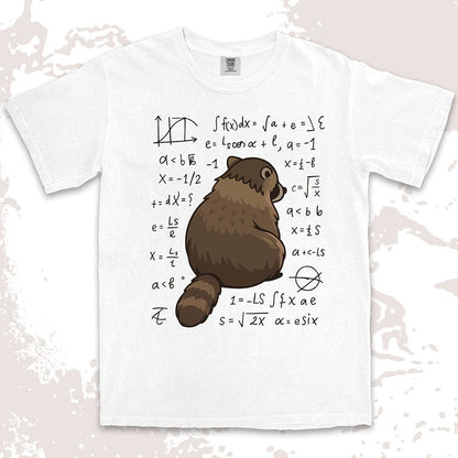 math raccoon surrounded by equations comfort colors t-shirt