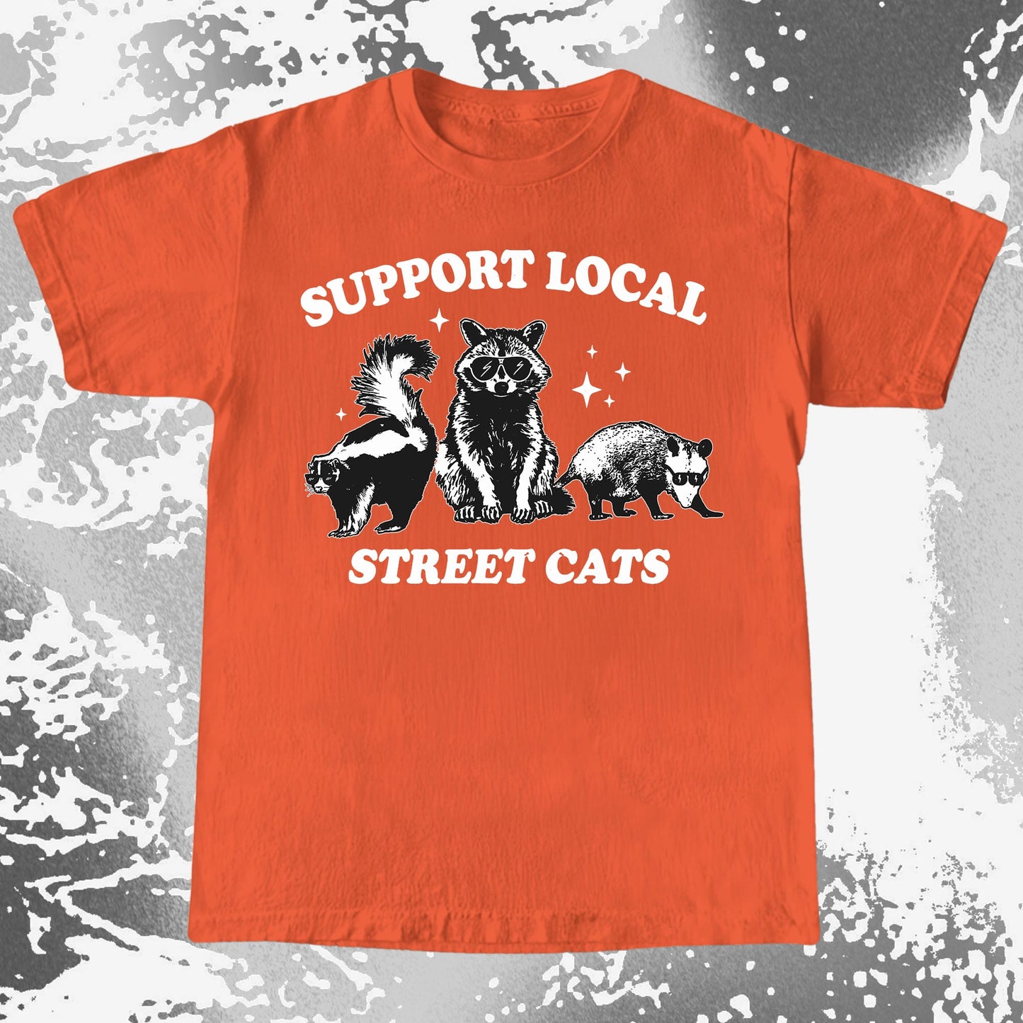 Support Local Street Cats Raccoon Skunk Opossum