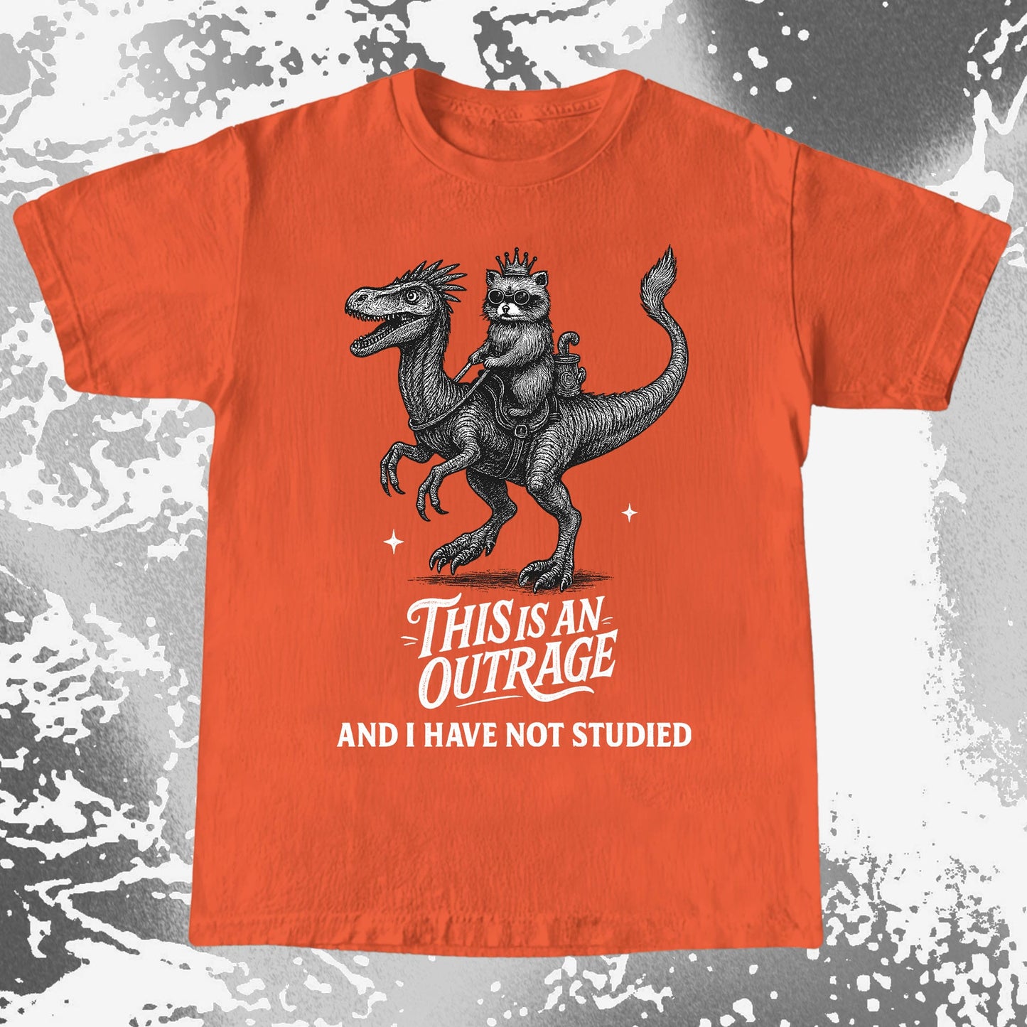 Outrage Raccoon Riding Dinosaur Funny Study