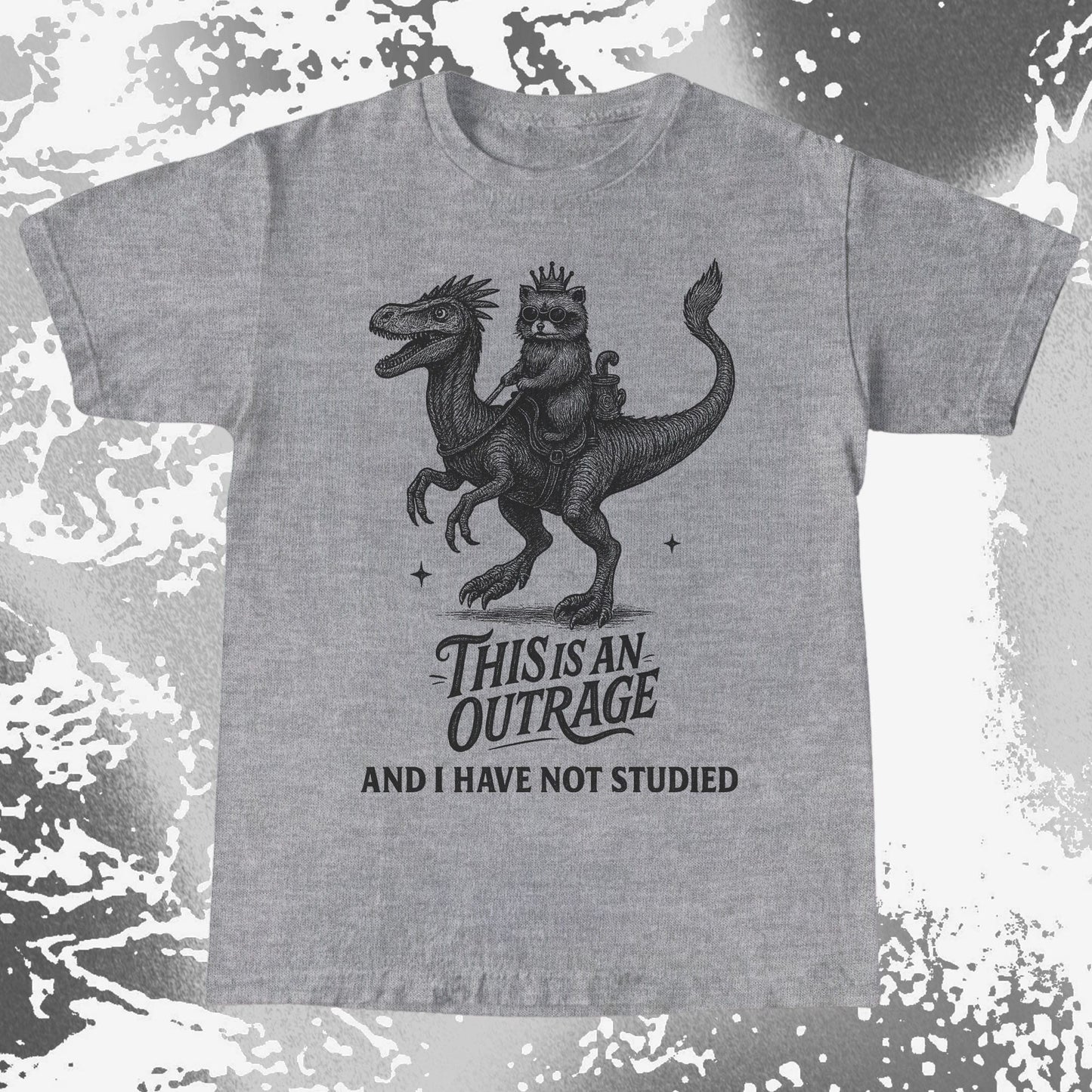 Outrage Raccoon Riding Dinosaur Funny Study