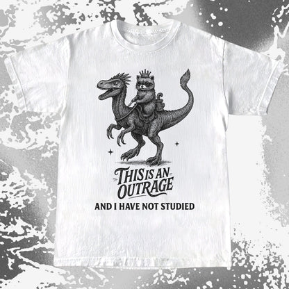 Outrage Raccoon Riding Dinosaur Funny Study