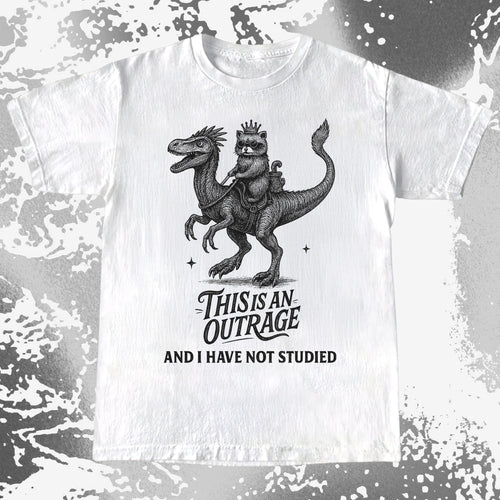 Outrage Raccoon Riding Dinosaur Funny Study