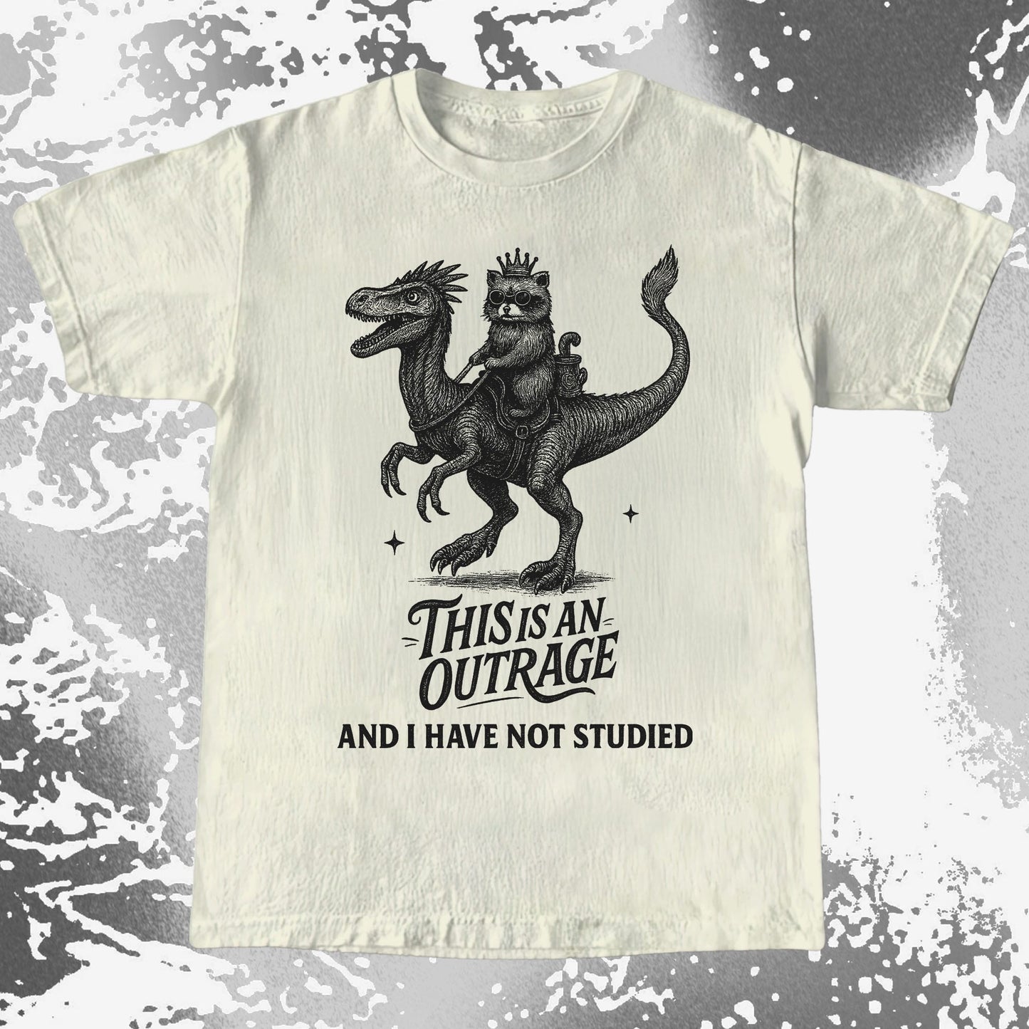 Outrage Raccoon Riding Dinosaur Funny Study