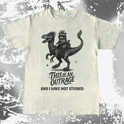 Outrage Raccoon Riding Dinosaur Funny Study